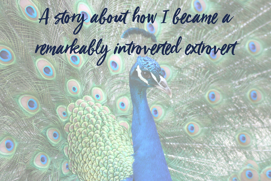 A story about how I became a remarkably introverted extrovert